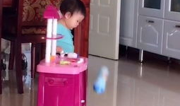 迷你小厨房做饭小视频,创意烹饪小视频集锦